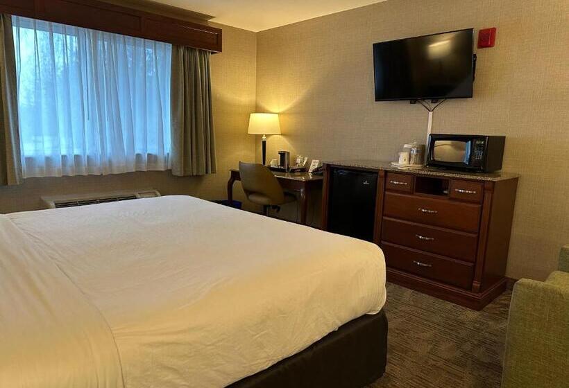 Стандартный Номер Кровать Кинг, Medallion Inn And Suites
