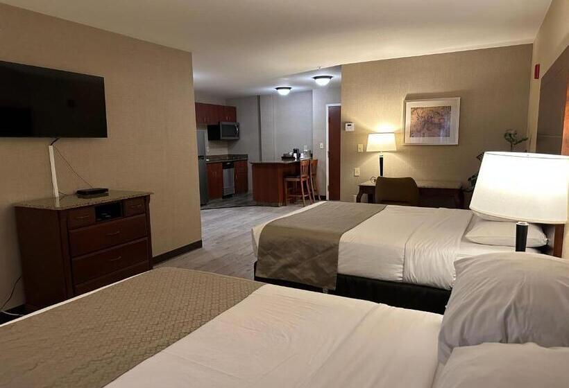 جناح ديلوكس, Medallion Inn And Suites