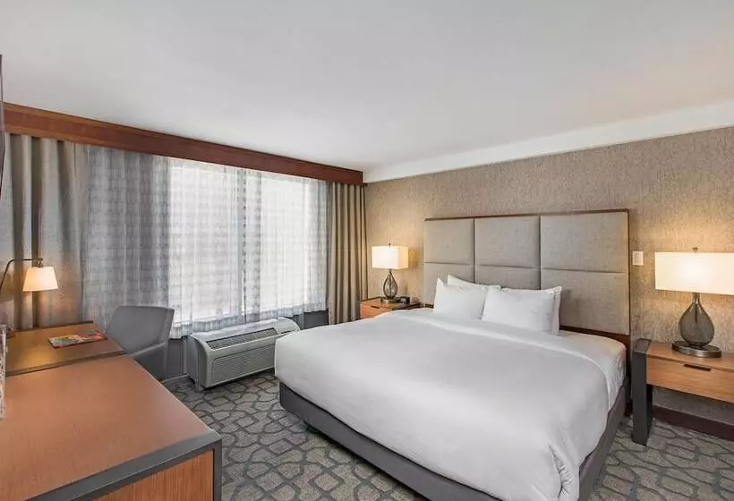デラックスルーム, Doubletree By Hilton San Antonio Northwest