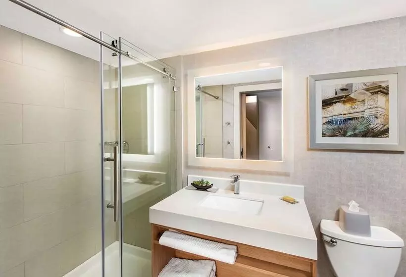 デラックスルーム, Doubletree By Hilton San Antonio Northwest