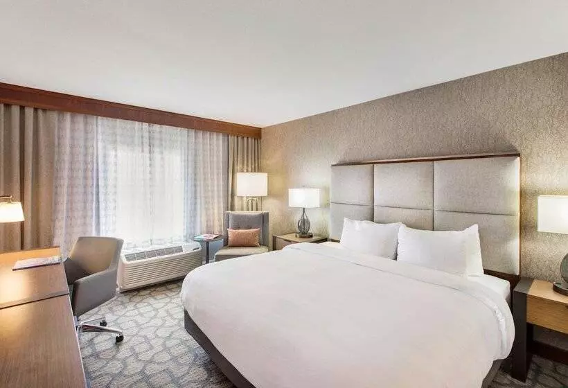 デラックスルーム, Doubletree By Hilton San Antonio Northwest