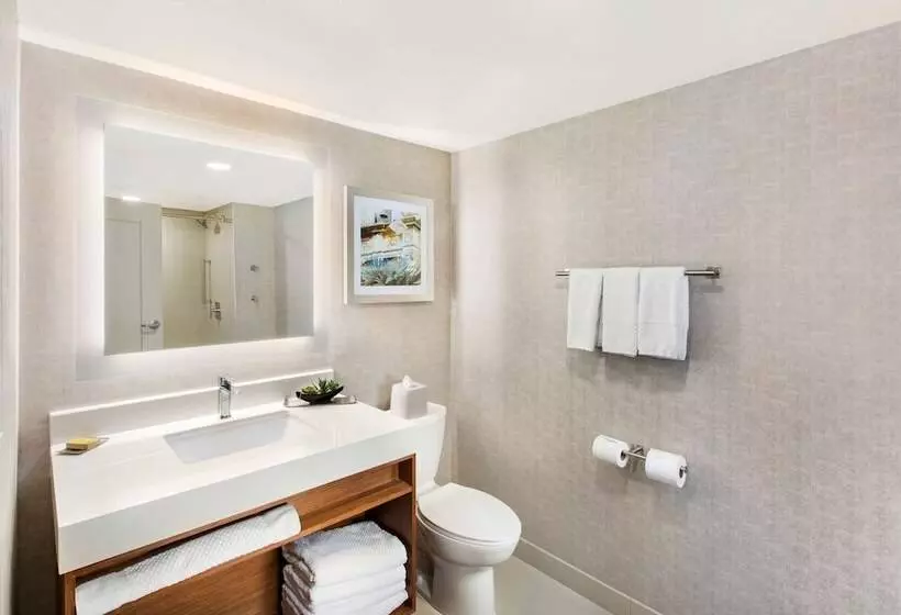 デラックスルーム, Doubletree By Hilton San Antonio Northwest