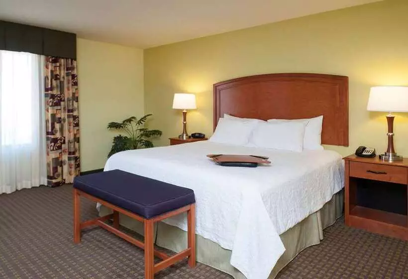 キングサイズベッドのスタンダードルーム, Doubletree By Hilton San Antonio Northwest