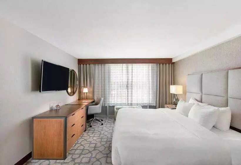 デラックスルーム, Doubletree By Hilton San Antonio Northwest