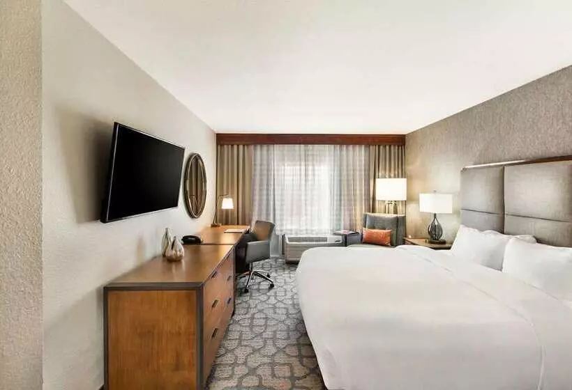 デラックスルーム, Doubletree By Hilton San Antonio Northwest