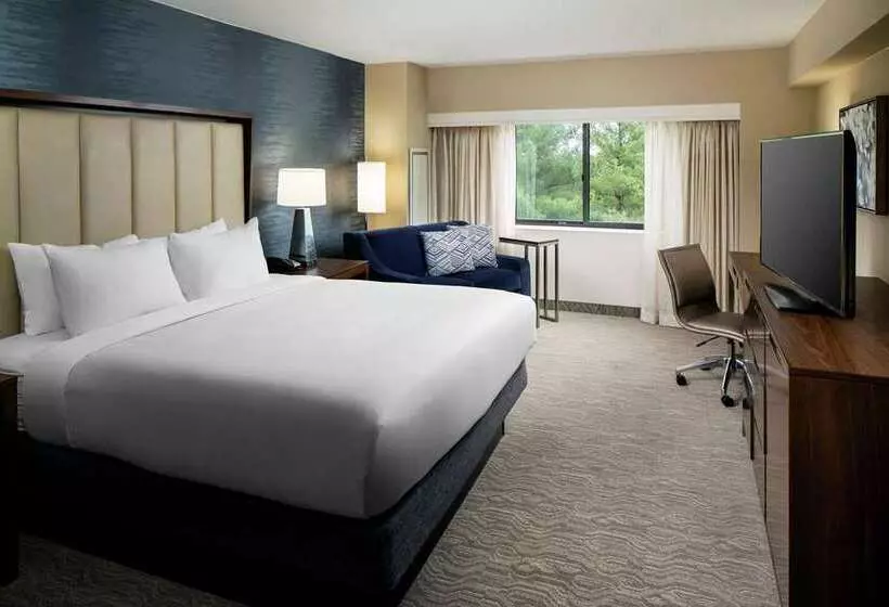 キングサイズベッドのスタンダードルーム, Doubletree By Hilton San Antonio Northwest