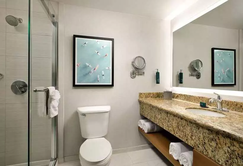 キングサイズベッドのデラックスルーム, Doubletree By Hilton San Antonio Northwest