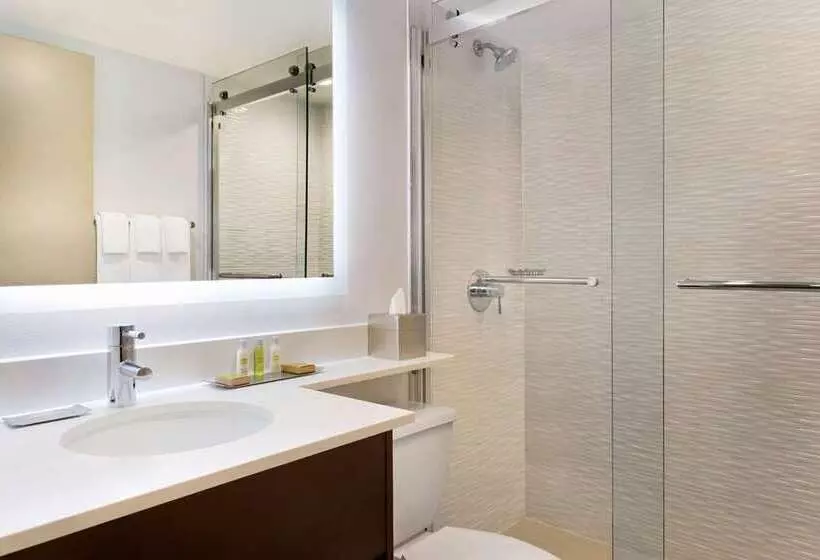 キングサイズベッドのデラックスルーム, Doubletree By Hilton San Antonio Northwest