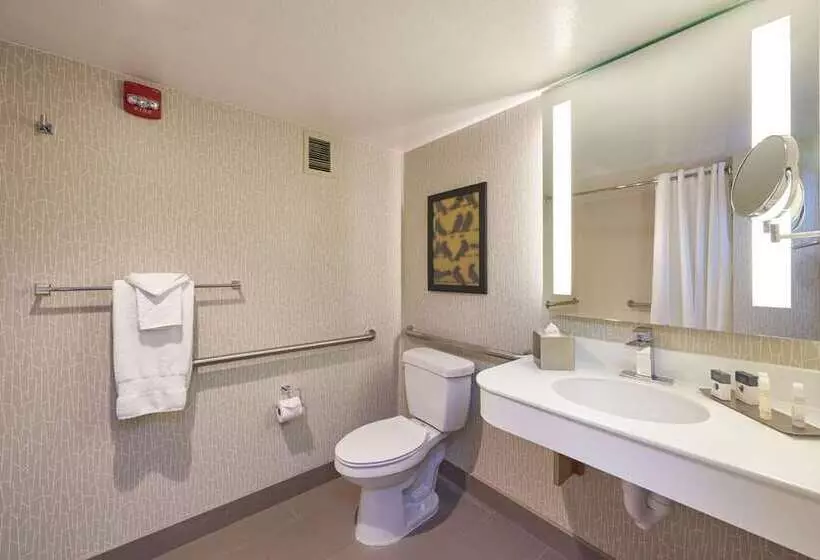 スタンダードルーム, Doubletree By Hilton San Antonio Northwest