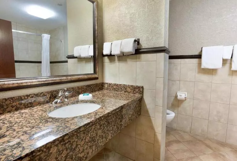 キングサイズベッドのスイートルーム, Drury Inn & Suites Flagstaff