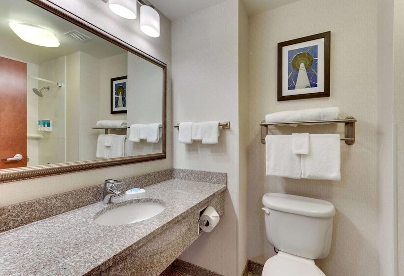 Номер Deluxe Адаптированный для Инвалидов, Drury Inn & Suites Sikeston