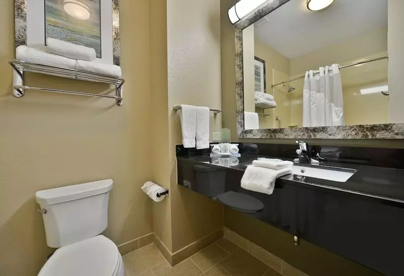 スイート, Holiday Inn Express & Suites Forrest City, An Ihg