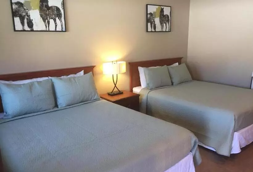 スーペリアールーム, Holiday Lodge
