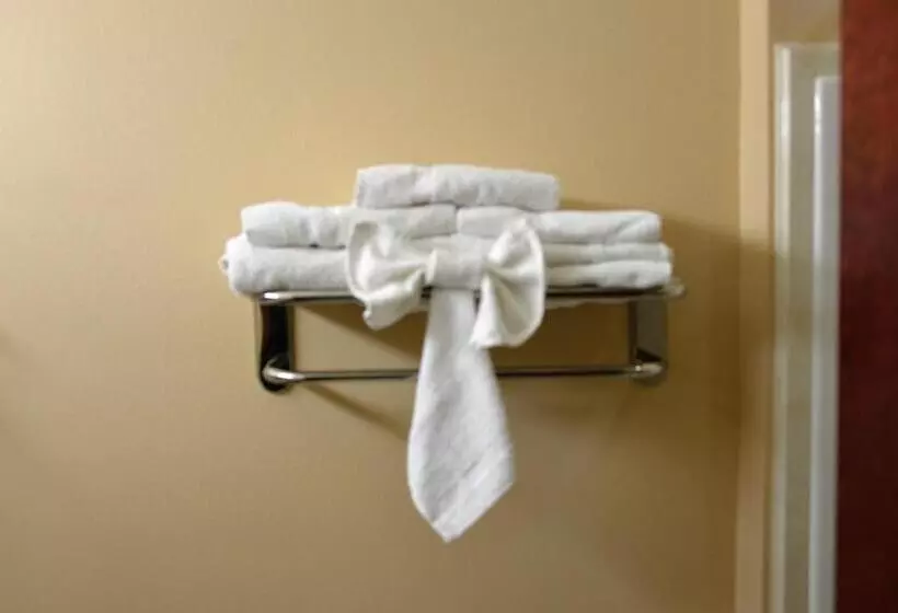 Standard-huone King-vuode, Irish Inn And Suites