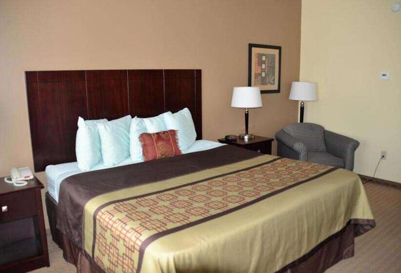 스탠다드 룸 킹사이즈 침대, Irish Inn And Suites