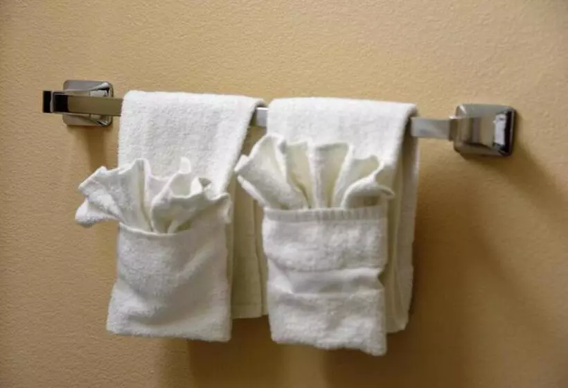 Standard-huone, Irish Inn And Suites