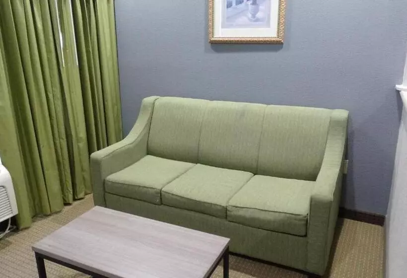 اتاق استاندارد با تخت بزرگ, Regency Inn And Suites Humble