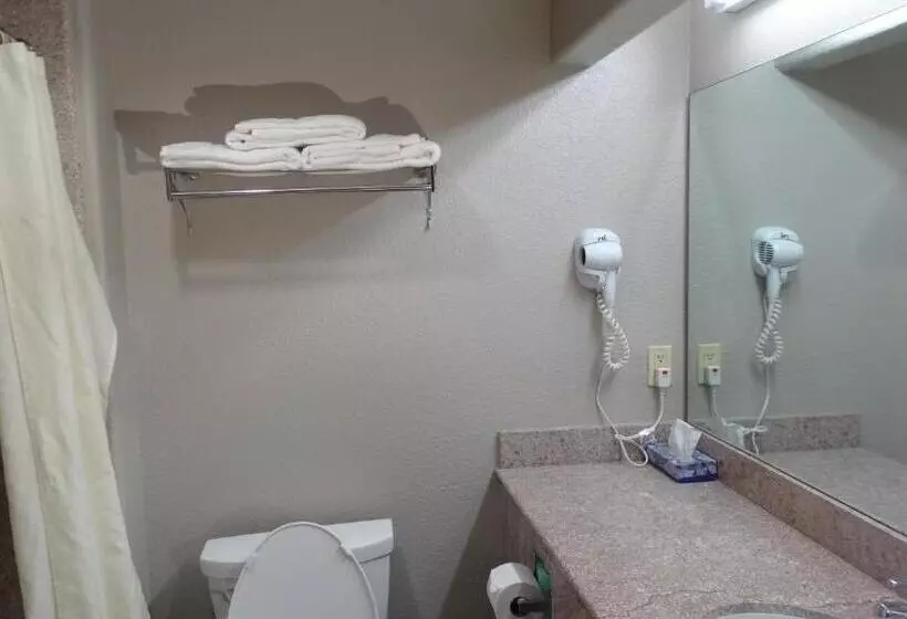 اتاق لوکس, Regency Inn And Suites Humble