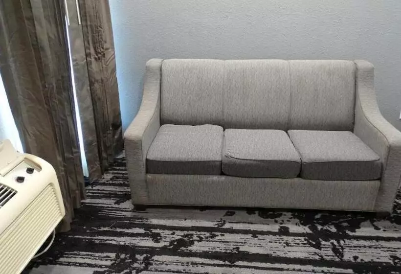 اتاق لوکس, Regency Inn And Suites Humble
