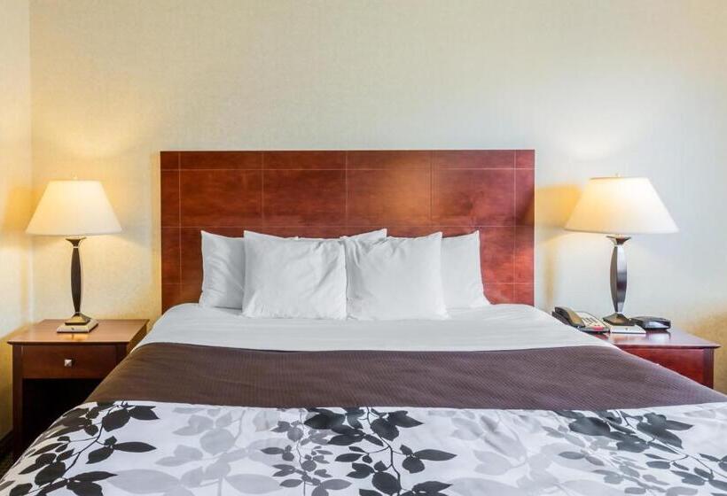 غرفة قياسية سرير كينج, Sleep Inn & Suites