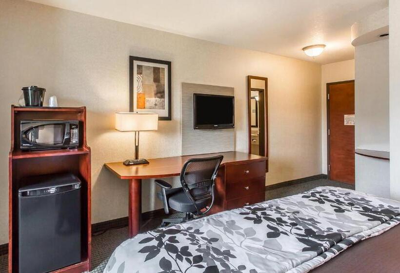 غرفة قياسية سرير كينج, Sleep Inn & Suites