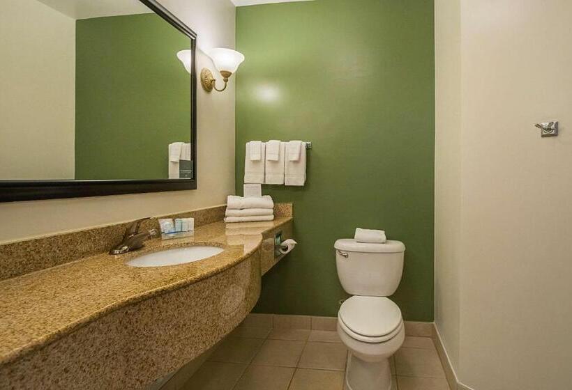 带大床的套房, Sleep Inn & Suites