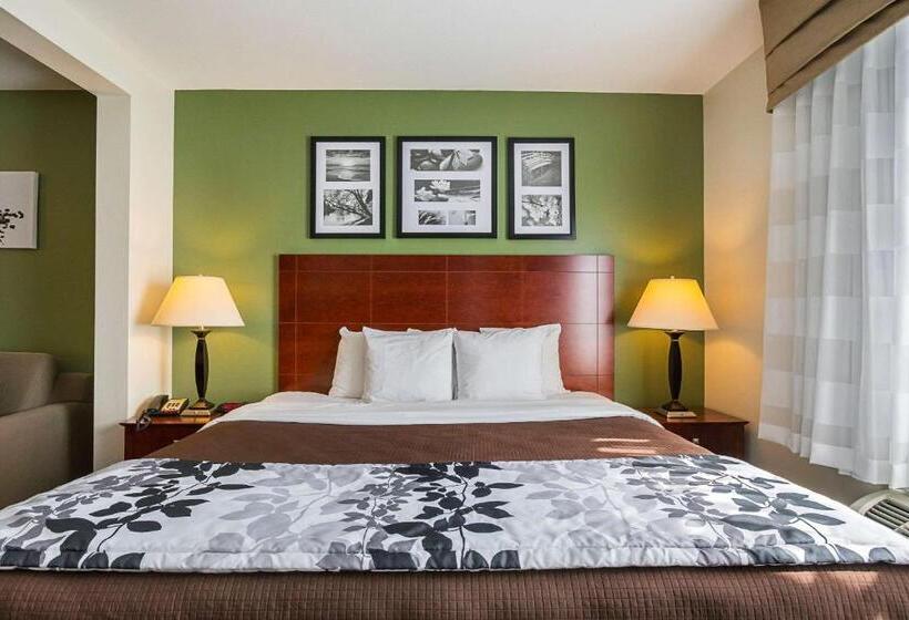 جناح سرير كينج, Sleep Inn & Suites