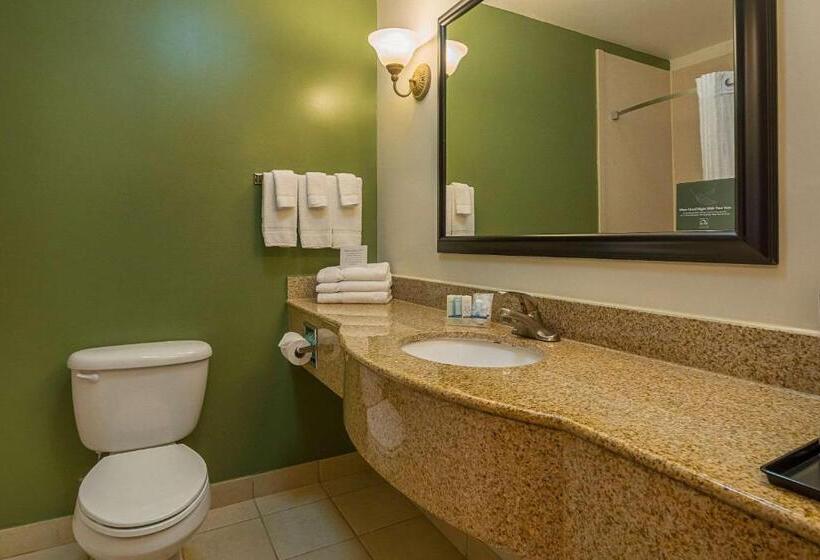 غرفة قياسية سرير كينج لذوى الإحتياجات الخاصة, Sleep Inn & Suites