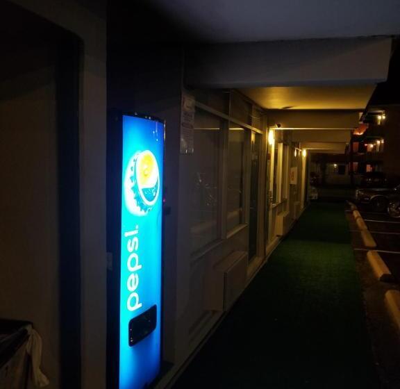 싱글 기본룸, The Virginian Motel