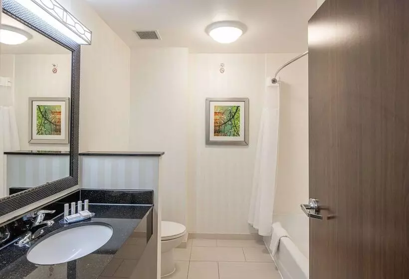 スタンダードスタジオ, Fairfield Inn & Suites By Marriott New Braunfels