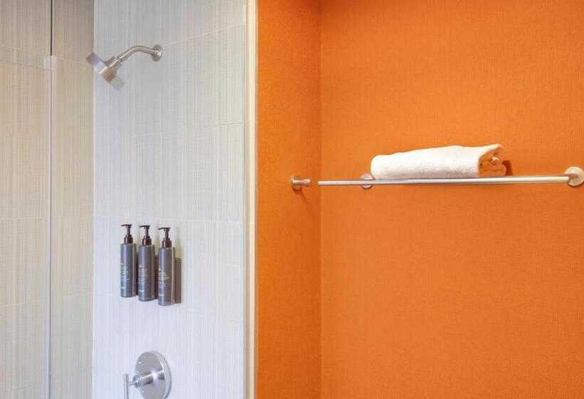 חדר סטנדרט, מיטת קינג, מותאם לאדם עם מוגבלויות, Aloft Hotel Milwaukee Downtown