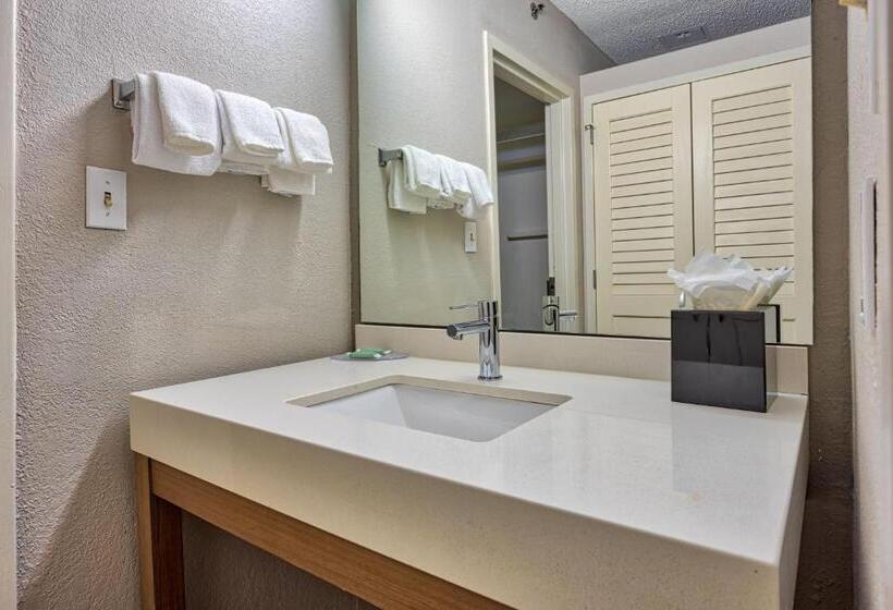Номер Стандарт 2 Двуспальные Кровати, Courtyard Hampton