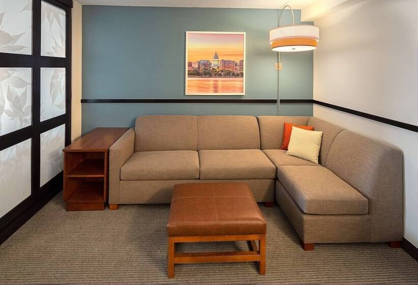 Номер Стандарт, Hyatt Place Madison/downtown