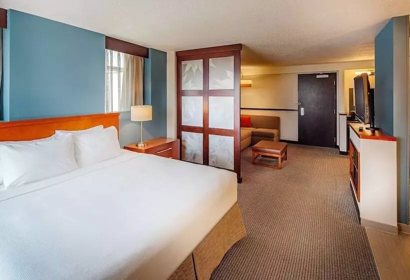 身障者適用スタンダードルーム, Hyatt Place Madison/downtown