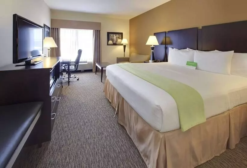 スイート（家族用）, La Quinta By Wyndham Memphis Wolfchase