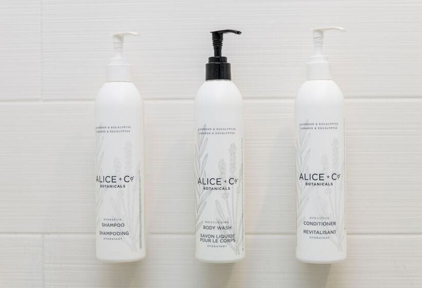 标准工作室, Springhill Suites By Marriott Lafayette South At River Ranch