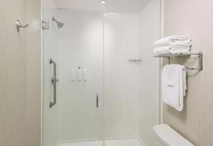 キングサイドベッドのスタンダードワンルーム, Springhill Suites By Marriott Lafayette South At River Ranch