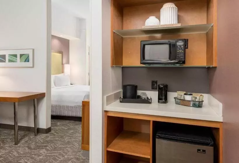 キングサイドベッドのスタンダードワンルーム, Springhill Suites By Marriott Lafayette South At River Ranch