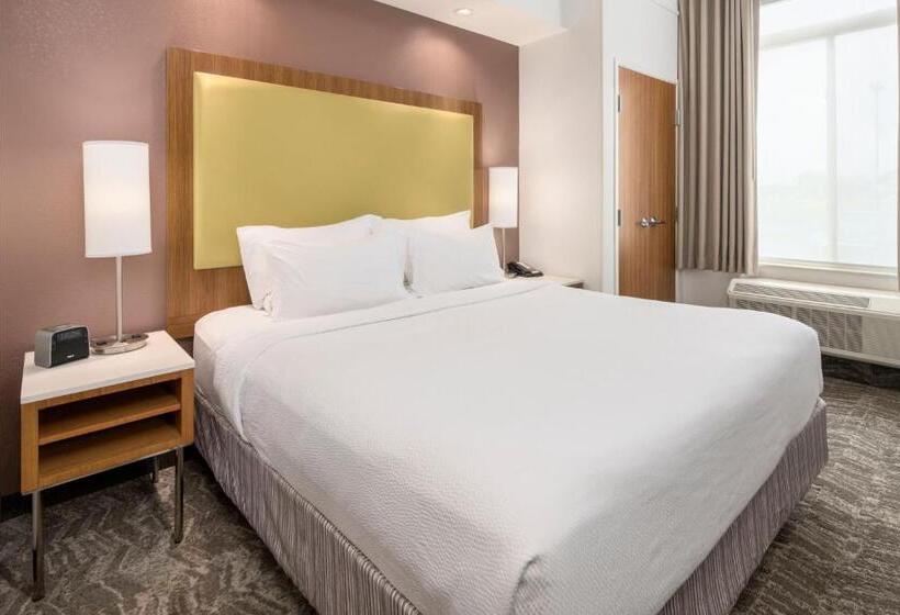Студио Стандарт Кровать Кинг, Springhill Suites By Marriott Lafayette South At River Ranch