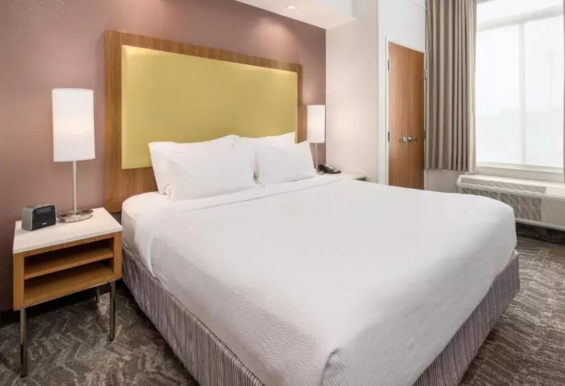 キングサイドベッドのスタンダードワンルーム, Springhill Suites By Marriott Lafayette South At River Ranch