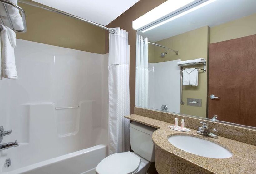 스탠다드 룸, Microtel Inn & Suites By Wyndham Mansfield