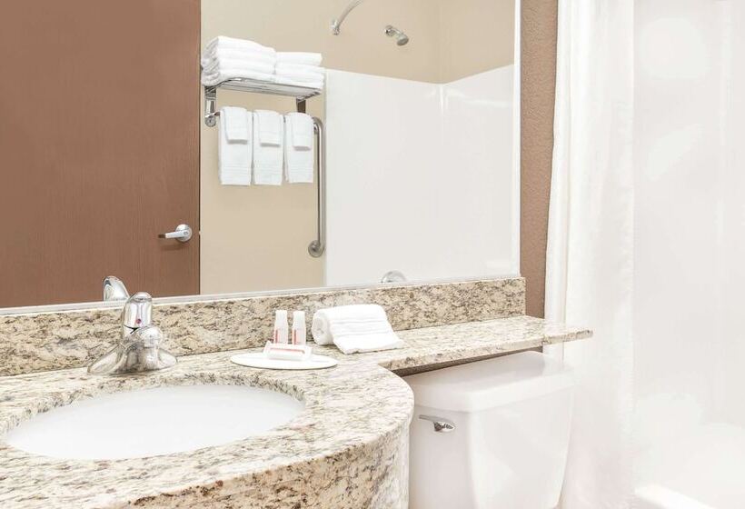 디럭스 스튜디오, Microtel Inn & Suites By Wyndham Mansfield