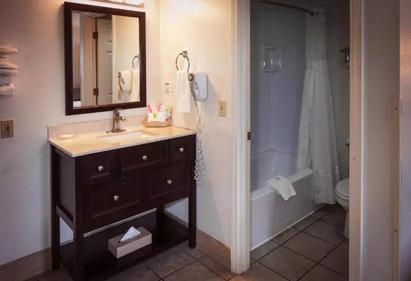 キングサイズベッドのスタンダードルーム, Pines Inn & Suites