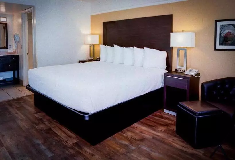 キングサイズベッドのスタンダードルーム, Pines Inn & Suites