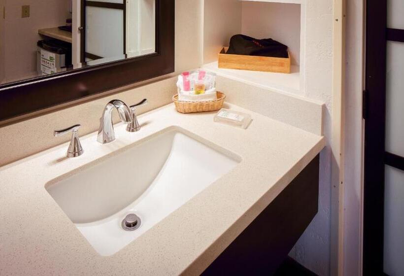 Номер Стандарт, Pines Inn & Suites