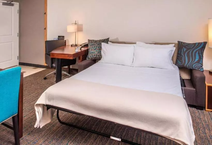 Deluxe-studio, Residence Inn Pittsburgh North Shore