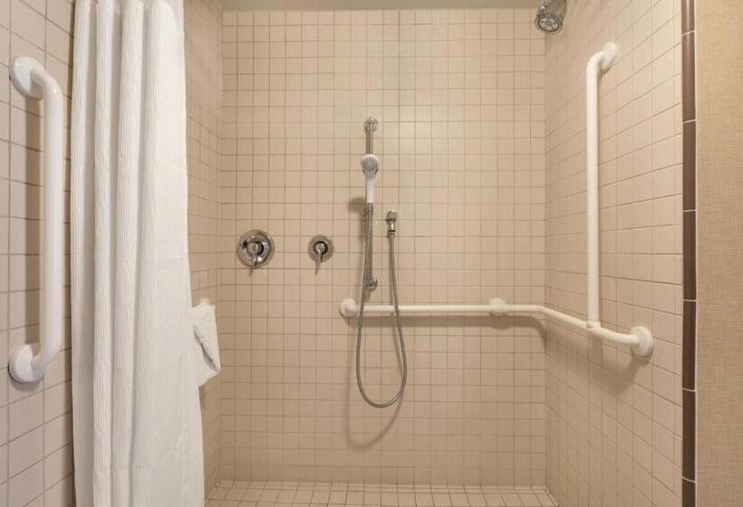 带大床的套房, Residence Inn San Diego North/san Marcos