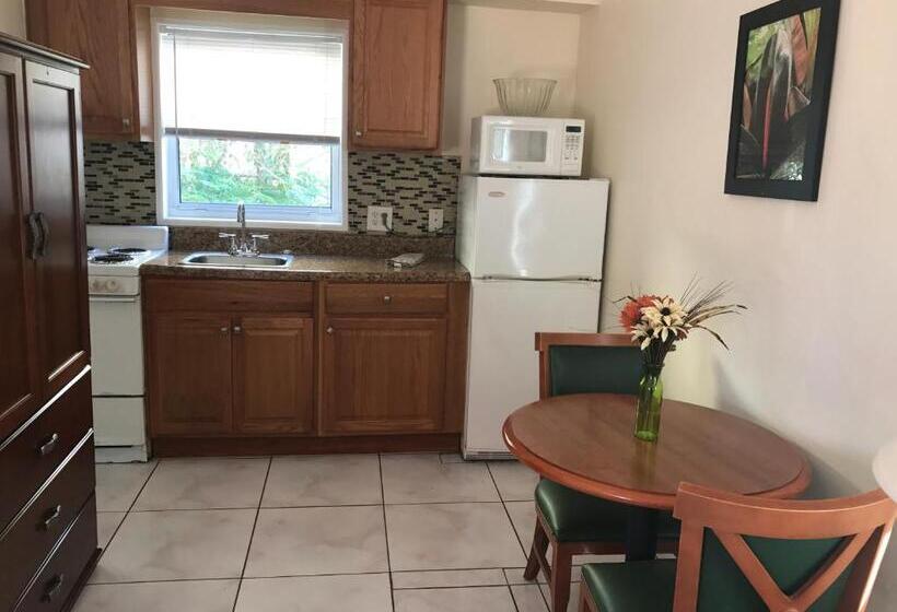 带大床的标准工作室, Shores Terrace