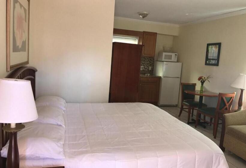 带大床的标准工作室, Shores Terrace