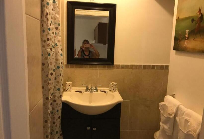 带1个卧室的豪华公寓, Shores Terrace